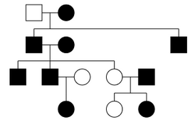 A pedigree chart