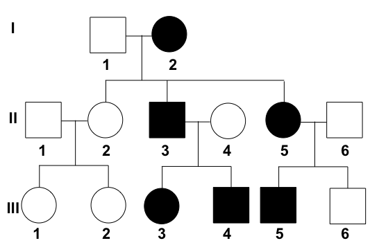 A pedigree chart with numbered Generations